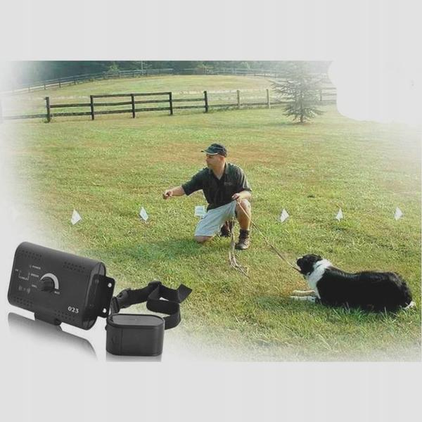 Pastuch dla psa
