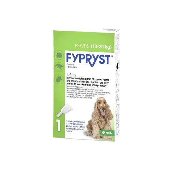 Pchły psa