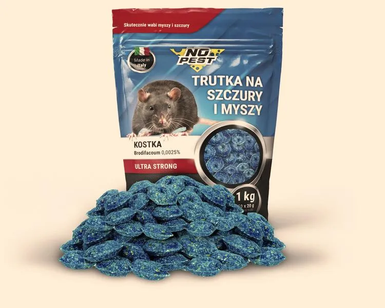Pierwsza pomoc dla psa