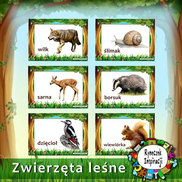 Pomoc dla zwierząt leśnych