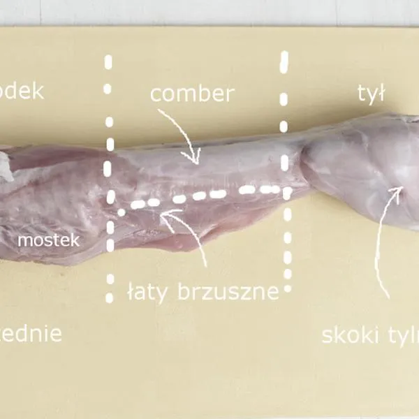 Poradnik wideo królika