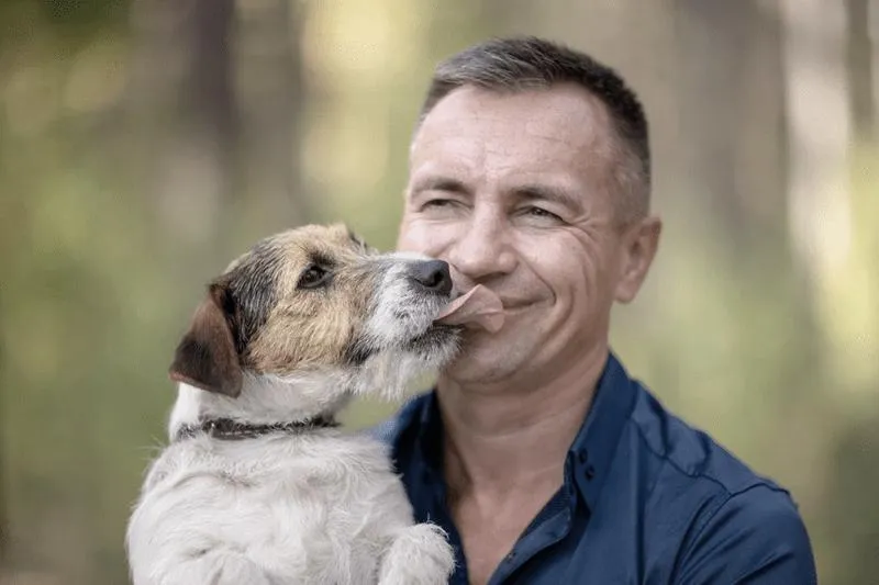 Powody lizania u psów