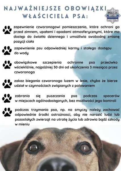 Prawo do psa