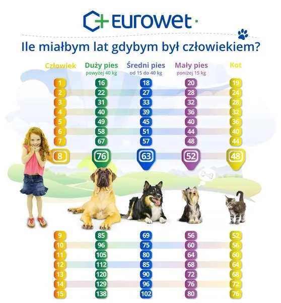 Przelicznik wieku psa
