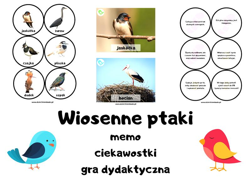 Ptaki wiosenne w Polsce