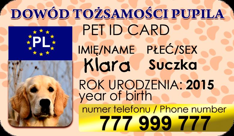 Rodowód i pochodzenie psa