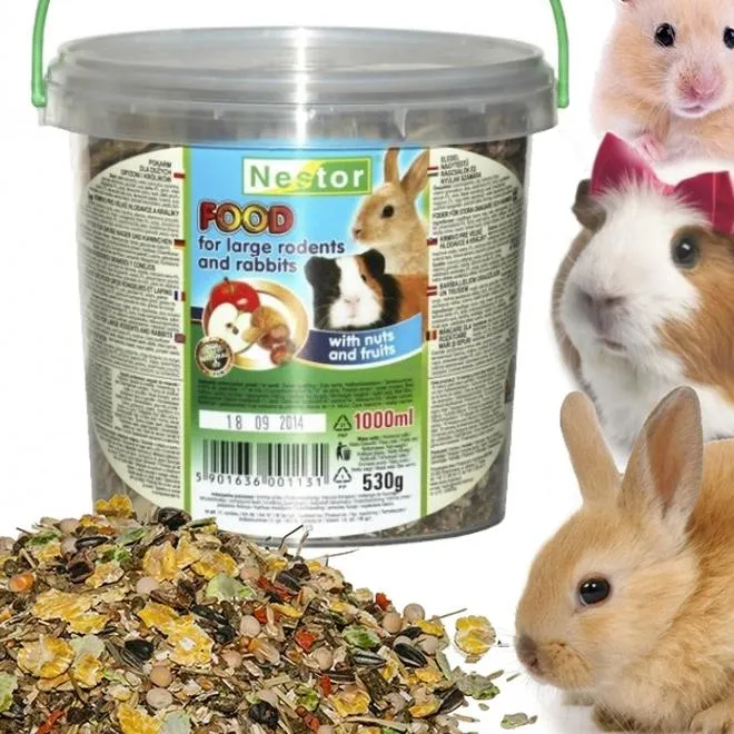 Świnki morskie dieta