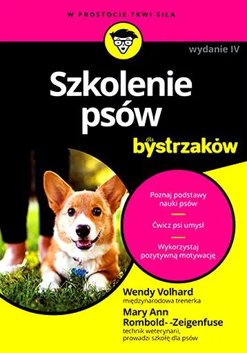 Szkolenie stacjonarne psa