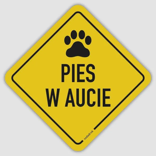 Uspokajanie psa w aucie