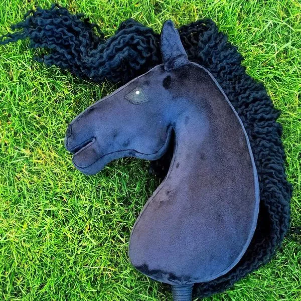 Utrzymanie konia fryzyjskiego