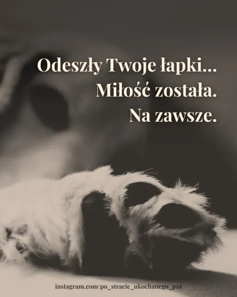 Wsparcie emocjonalne dla opiekunów
