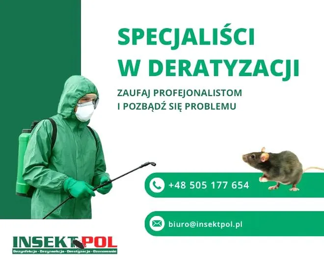 Wytępienie szczura z mieszkania