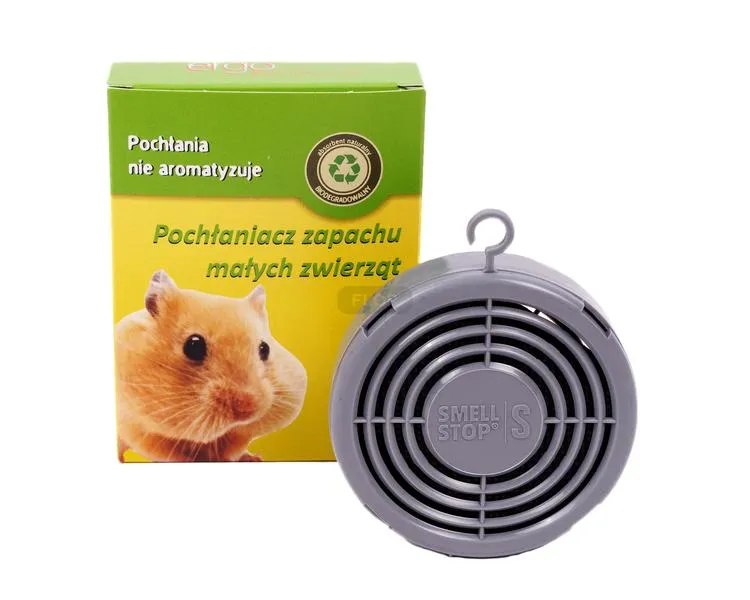 Zapach świnki morskiej