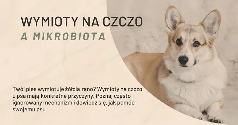 Zdrowie psa