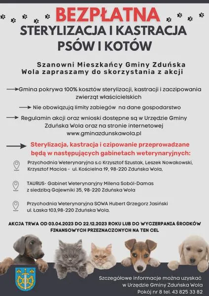 Zdrowie psa podczas kastracji