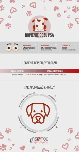Zdrowie psów