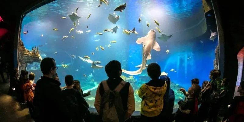 Zniżki w zoo w Hamburgu