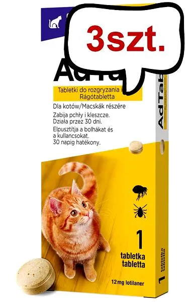 Zwalczanie pcheł u kota