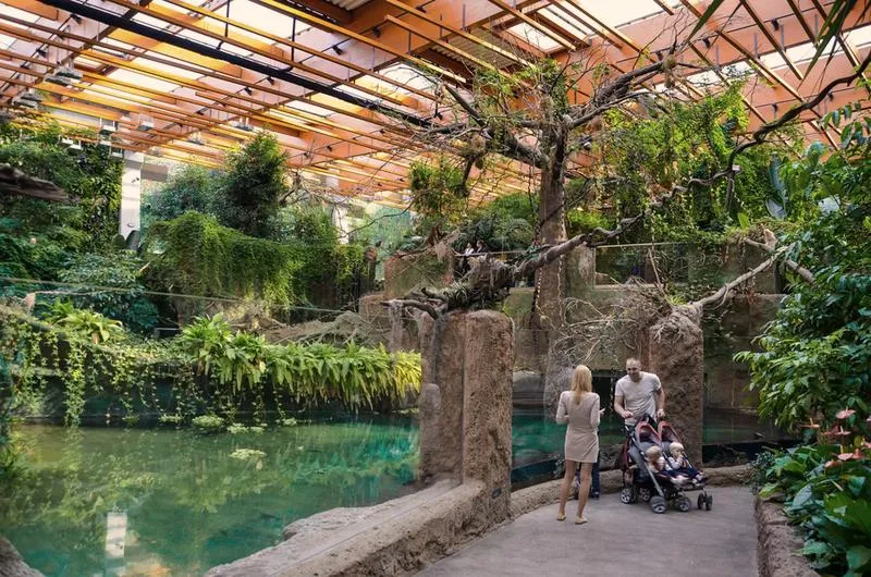 Zwiedzanie Zoo Wrocław